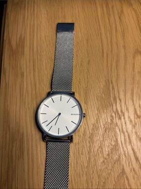 Skagen Silver Watch